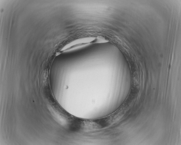 X0000088090605200706011606