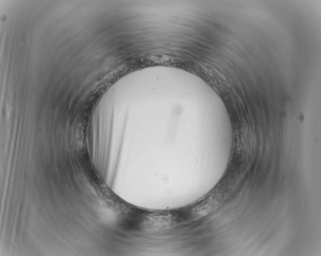 X0000088090606200706011605