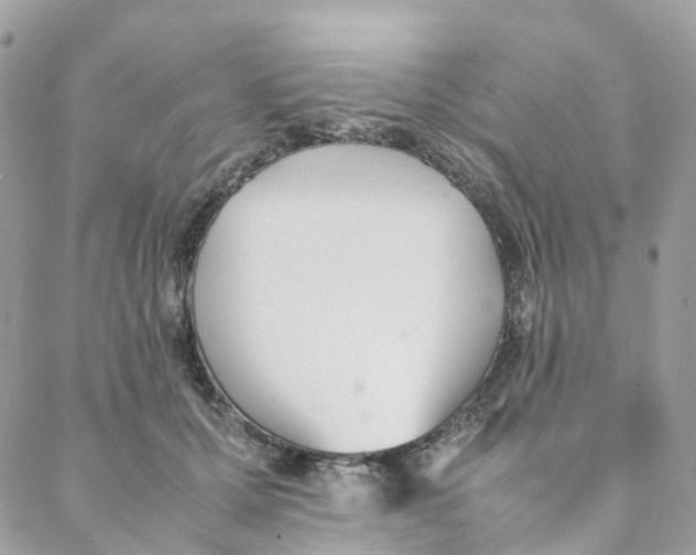 X0000088090607200706011605