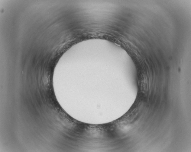 X0000088090608200706011605