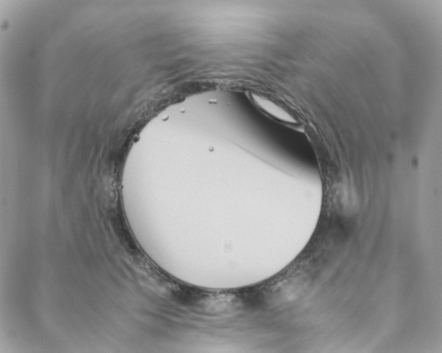 X0000088090609200706011605