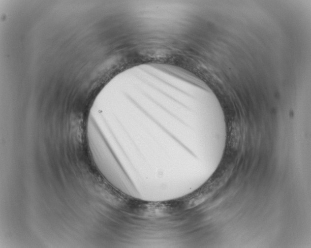 X0000088090612200706011605