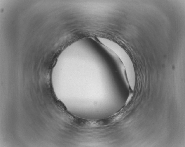 X0000088090613200706011605