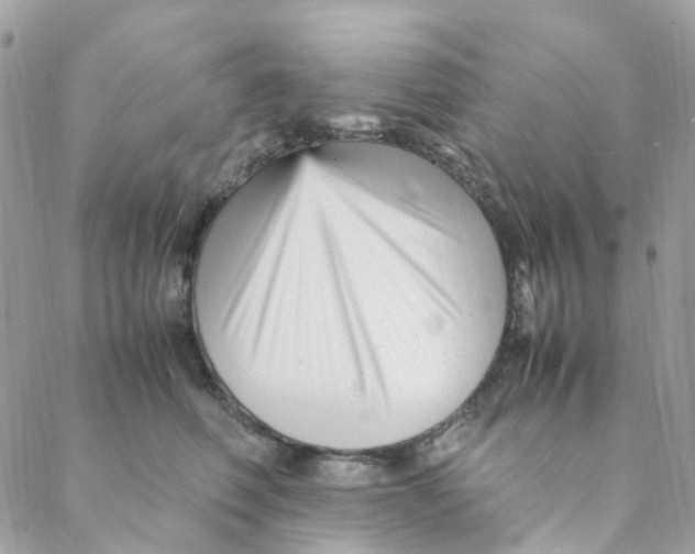 X0000088090614200706011605