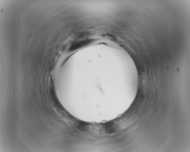 X0000088090615200706011605