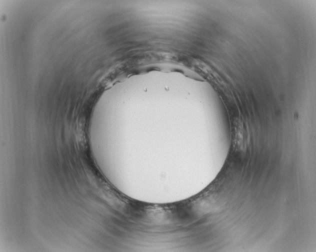 X0000088090616200706011605