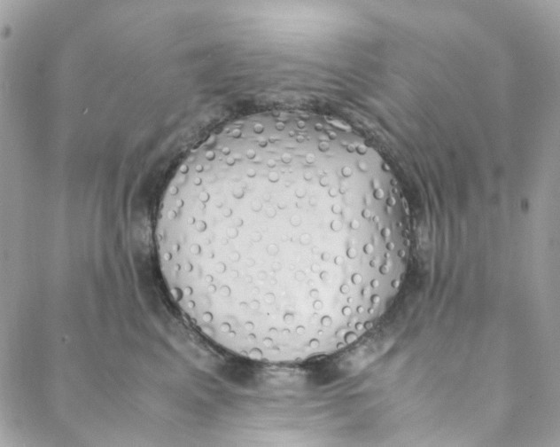 X0000088090617200706011605