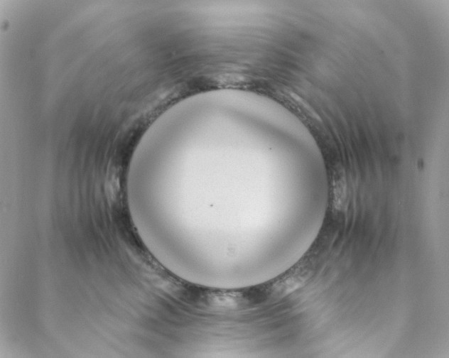 X0000088090618200706011605