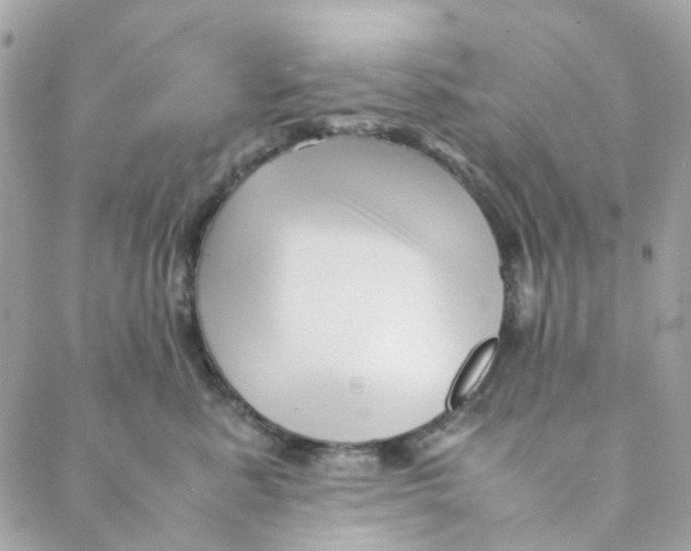 X0000088090619200706011605