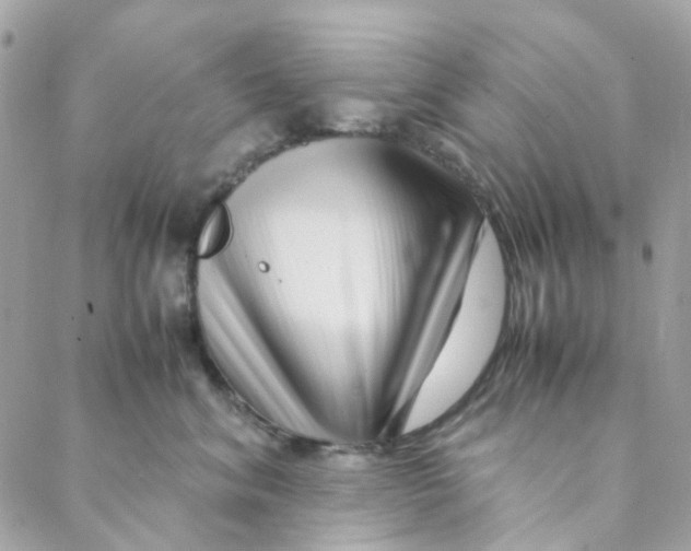 X0000088090620200706011605