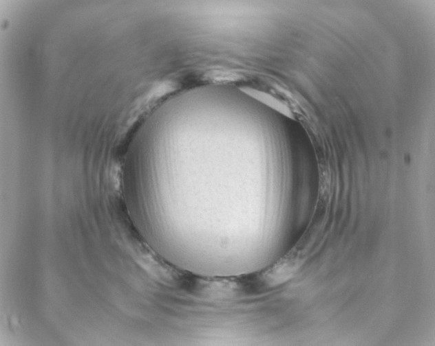 X0000088090621200706011605