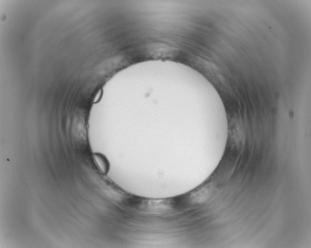 X0000088090622200706011605