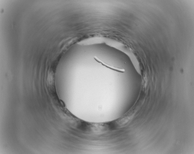 X0000088090623200706011605