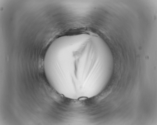 X0000088090624200706011605