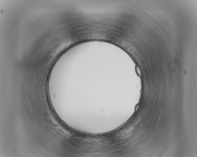 X0000088090625200706011604