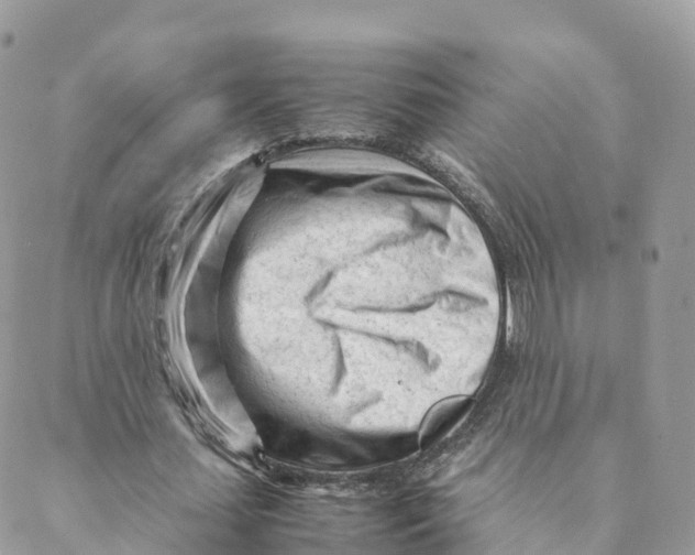 X0000088090627200706011604