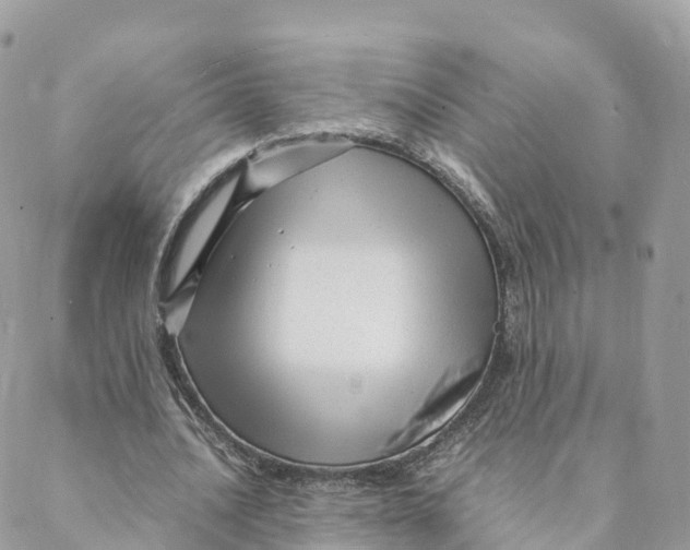 X0000088090628200706011604