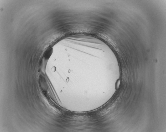 X0000088090629200706011604