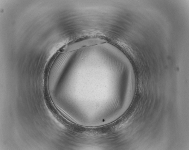 X0000088090630200706011604