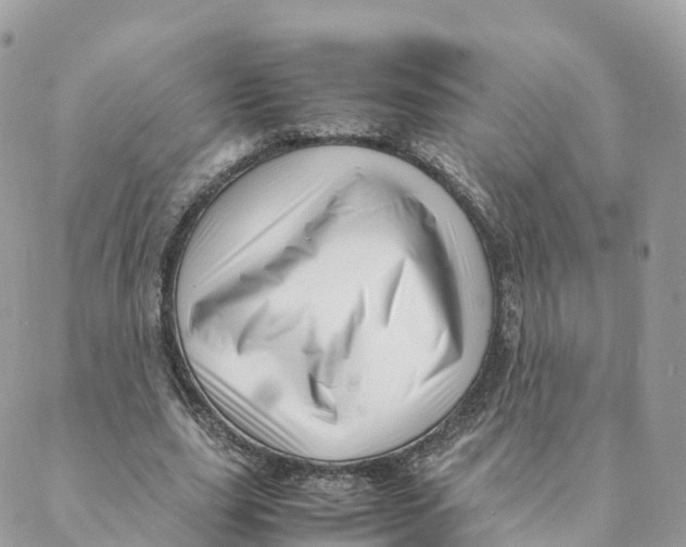 X0000088090631200706011605