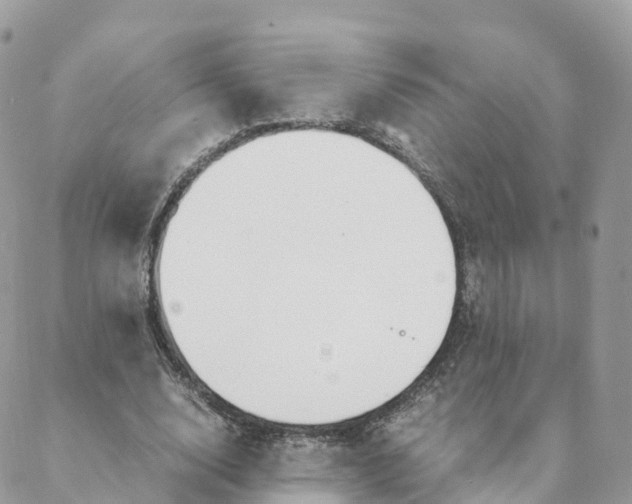 X0000088090632200706011605