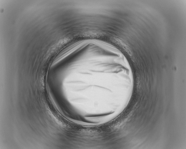 X0000088090633200706011605