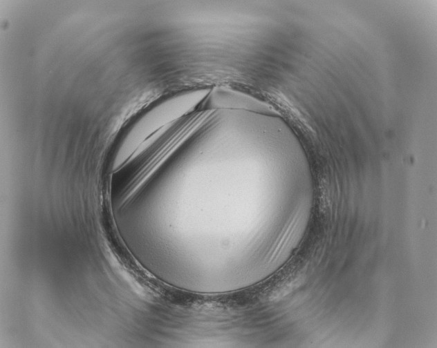 X0000088090634200706011605