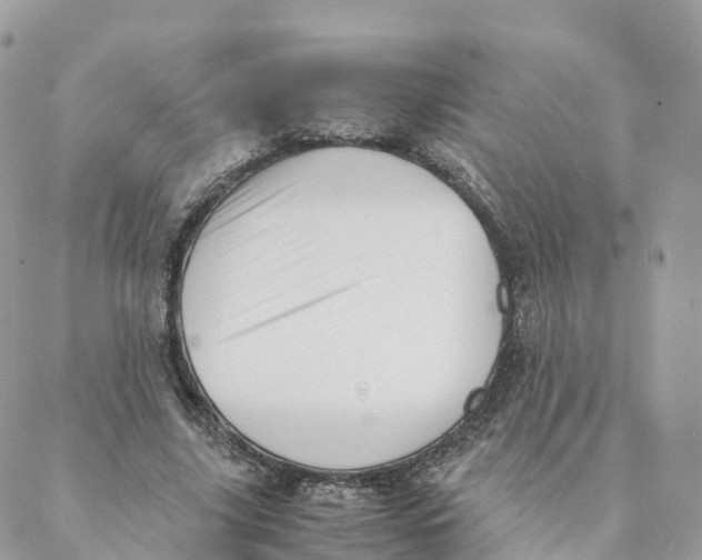 X0000088090635200706011605