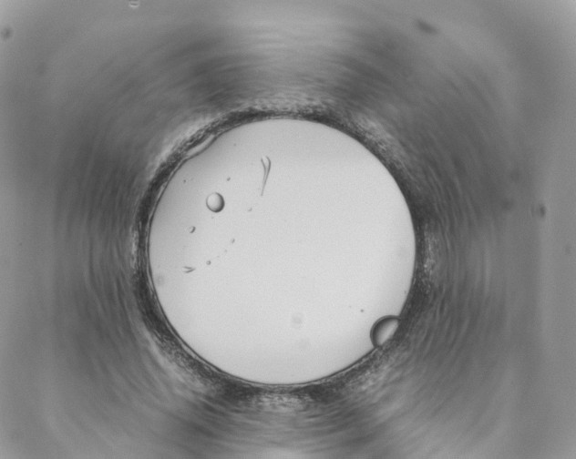 X0000088090636200706011605