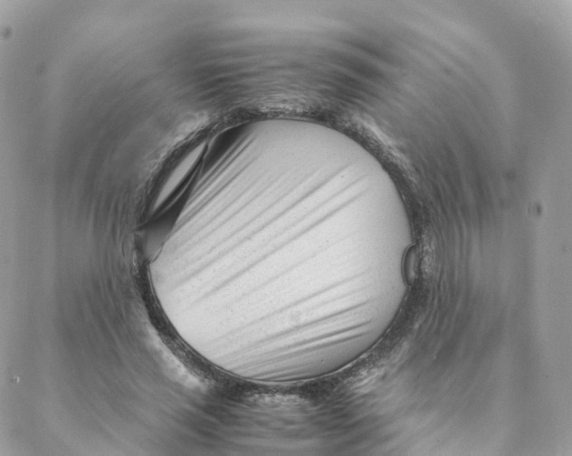 X0000088090637200706011605