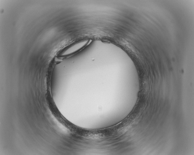 X0000088090638200706011605