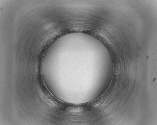 X0000088090639200706011605