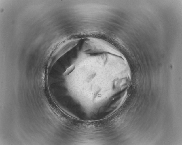 X0000088090640200706011605