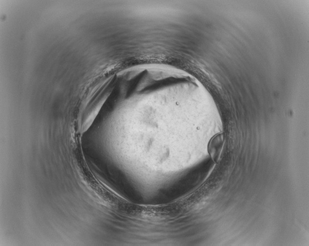 X0000088090641200706011605