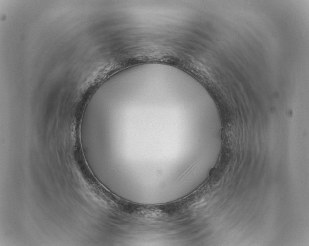 X0000088090642200706011605