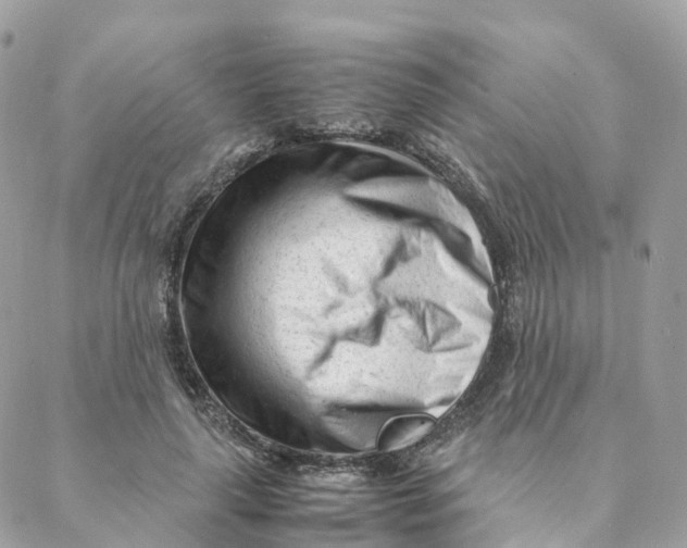 X0000088090643200706011605