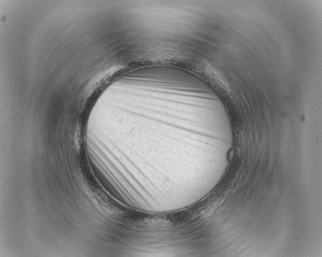 X0000088090644200706011605