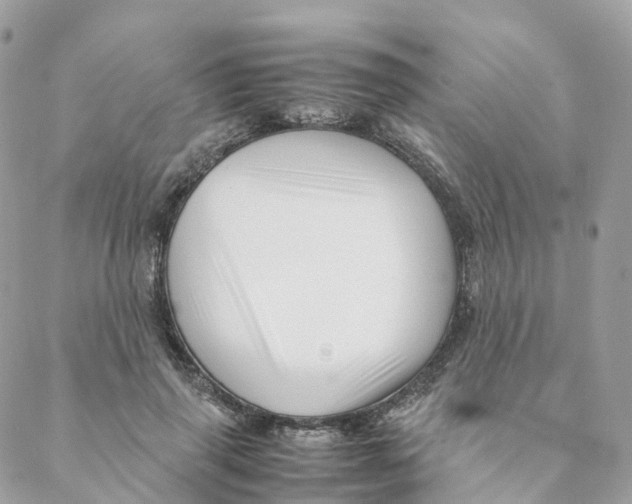 X0000088090645200706011605