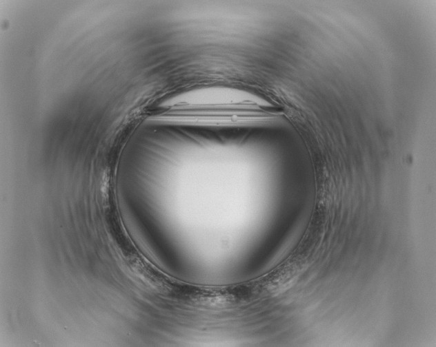 X0000088090646200706011605