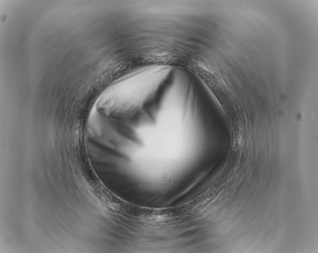 X0000088090647200706011605