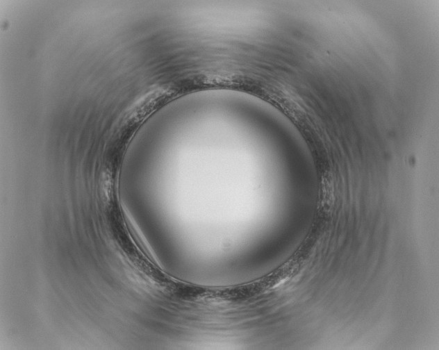 X0000088090648200706011605