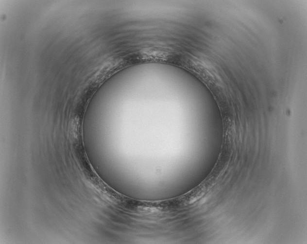 X0000088090649200706011605