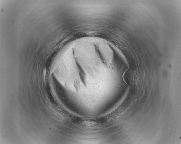 X0000088090650200706011605