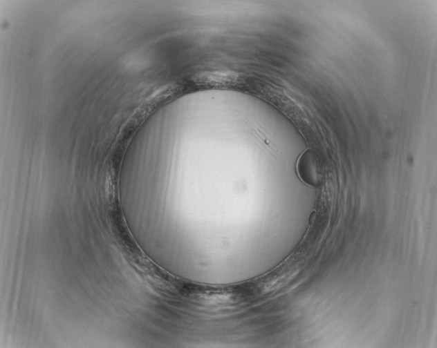 X0000088090651200706011605