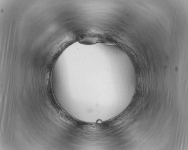 X0000088090652200706011605