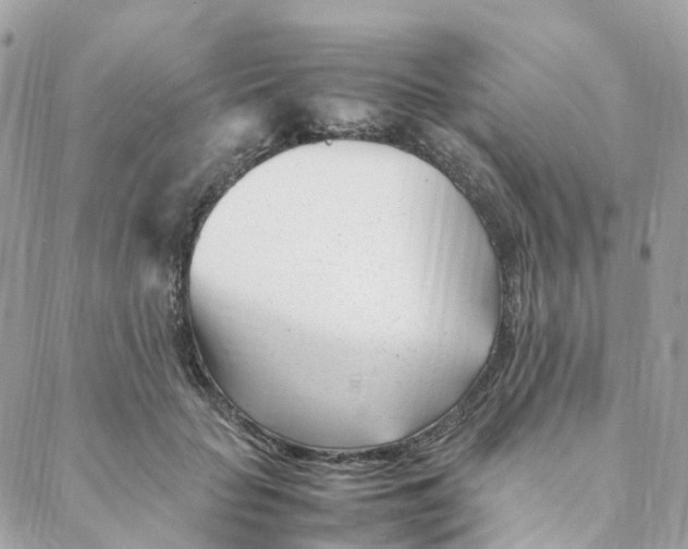 X0000088090653200706011605