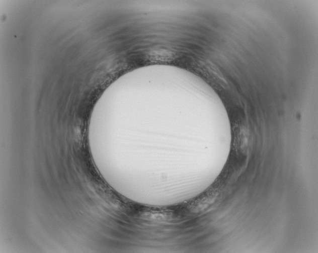 X0000088090655200706011605