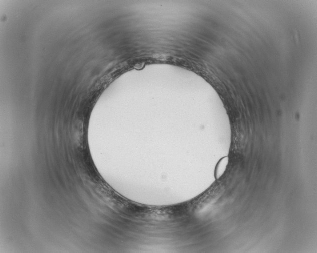 X0000088090656200706011605