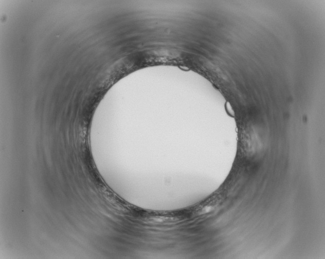 X0000088090657200706011605