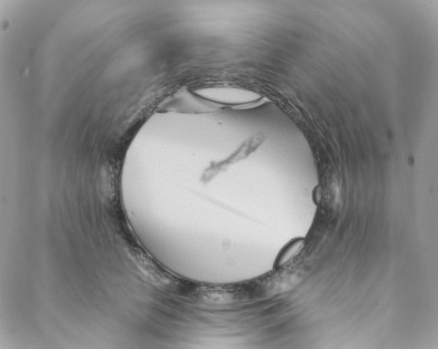 X0000088090658200706011605